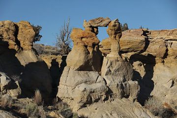 De-na-zin wildernis gebied , Bisti badlands, New Mexico USA van Frank Fichtmüller