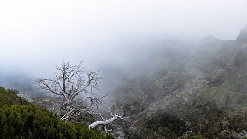 Bergen, licht en stilte... van Edwin Kooren