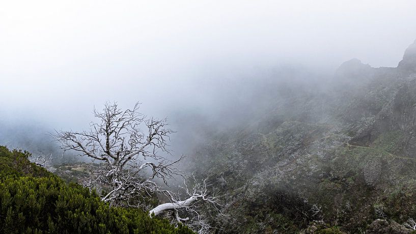 Montagnes, lumière et silence... par Edwin Kooren