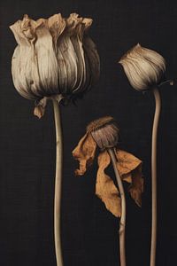 Still life with dried flowers, flatlay by Carla Van Iersel