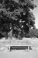 Découvrir la nature dans une zone forestière de l'Emsland, Basse-Saxe, Allemagne