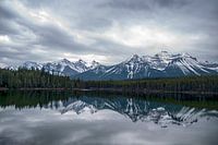 Threatening air at a lake in Canada