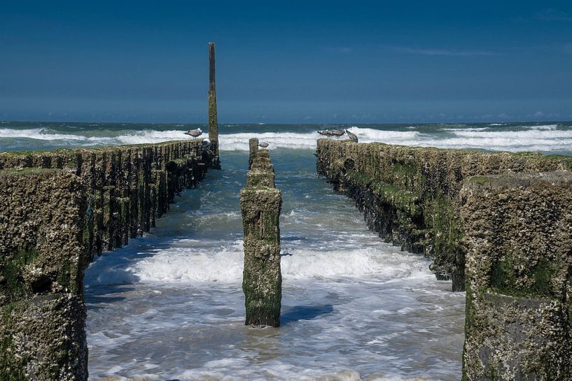 Strand Strand von Marco Herman Photography