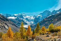 Morteratschgletscher, Pontresina, Graubünden, Engadin, Schweiz,