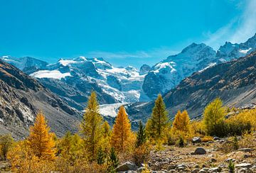Morteratsch gletsjer, Pontresina, Graubünden, Engadin, Zwitserland, van Rene van der Meer