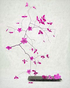 Zen-Stillleben mit rosa Blumen .