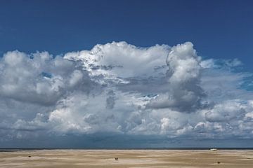 Hoe nietig is de mens van R Smallenbroek