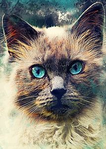 Aquarelle représentant un chat #cat #kitten sur JBJart Justyna Jaszke