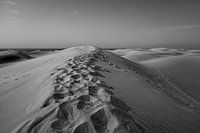 Op de top van de duinen in zwart wit