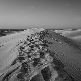 Au sommet des dunes sur Nicole