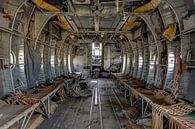 jump!  Abandoned plane  by Dafne Op 't Eijnde thumbnail