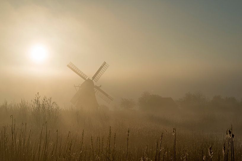 Molen bij in de mist bij zonsopkomst van Richard Gilissen