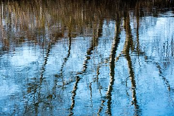 Abstractie Bomen in het meer in de winter van Dieter Walther