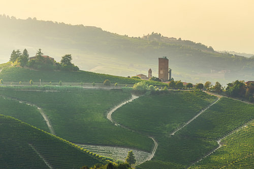 De Barbaresco-toren en de wijngaarden van de Langhe bij zonsondergang, Italië