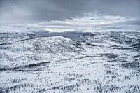 Fjordlandschaft