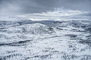 Paysage de fjord