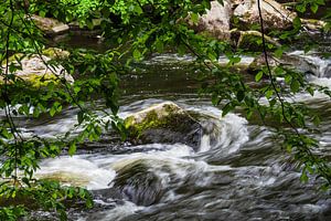 Landschaft im Bodetal im Harz