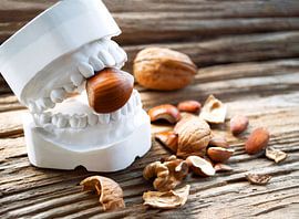 Cracking a tough nut... ;) Bit, nutcracker, solve a problem by Susanne Kanamüller