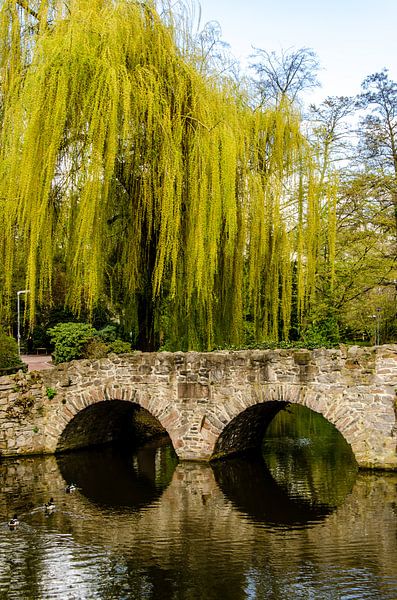 Brug met treurwilg van Dieter Walther