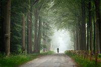 De eenzame fietser