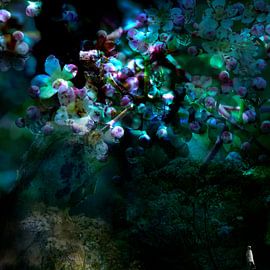 DROPPING by Ted van den Aarssen