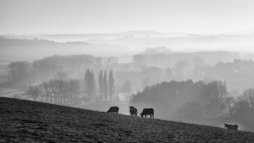 Hügelland im Nebel von Rob Boon