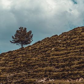 Einsamkeit in den Bayerischen Alpen von Pitkovskiy Photography|ART