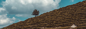 Einsamkeit in den Bayerischen Alpen
