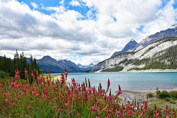 SPRAY LAKES CANMORE ALBERTA CANADA by Roelof Touw
