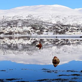 Snow-capped mountains reflected in water of fjord by Studio LE-gals