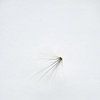 Luchtig van Miss Antenna