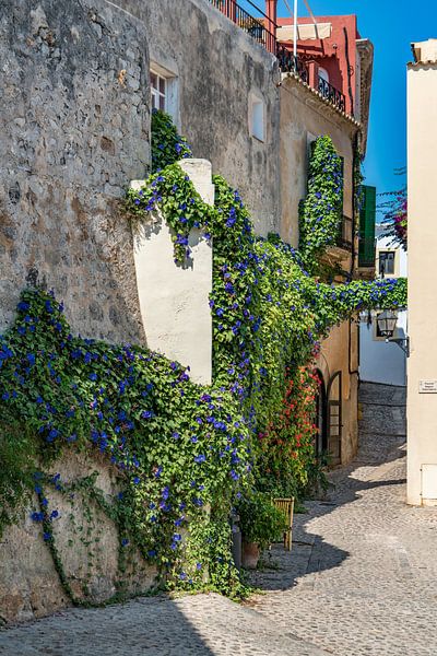 Ibiza-Stadt Dalt Vila Gasse mit Blumen von Jan van Suilichem