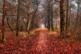 Herfstwandeling in de mist. von Karel Warburg
