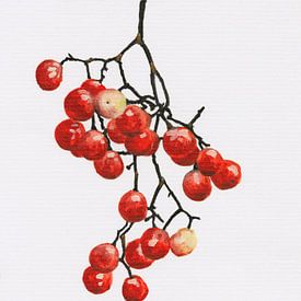 Rote Pfefferkörner Kollektion I von Tonkinson Fine Art