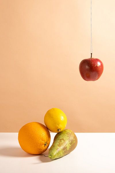 Hanging apple' Fruit still life by Abri&Koos