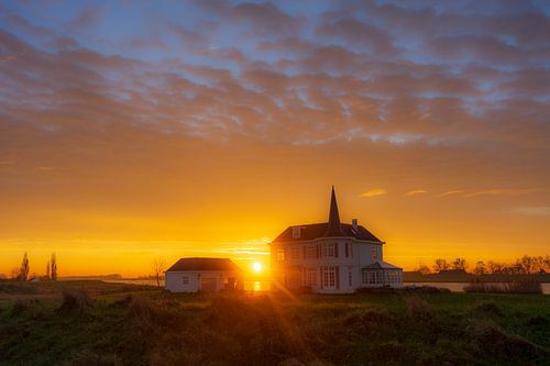 Een knipoog van de zon