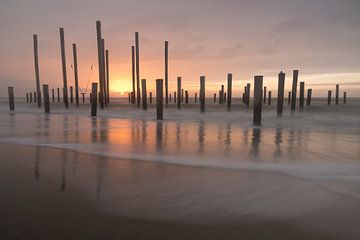 Palmendorf bei Petten von Wiel Arets