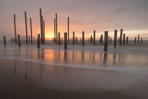 Palm village near Petten