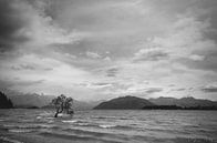 Het meer van Wanaka van Jasper van der Meij thumbnail