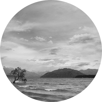 Lake Wanaka