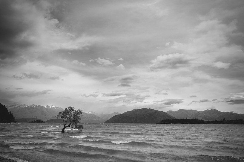 Lac Wanaka par Jasper van der Meij