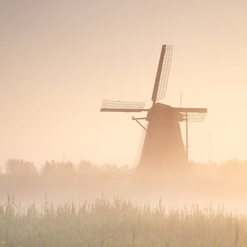 Kinderdijk in de mist