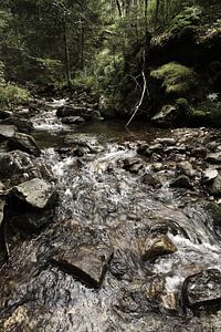 Der Riesbach im Riesloch bei Bodenmais 6