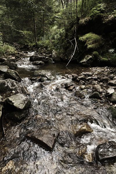 The Riesbach in the Riesloch near Bodenmais 6 by Jörg Hausmann