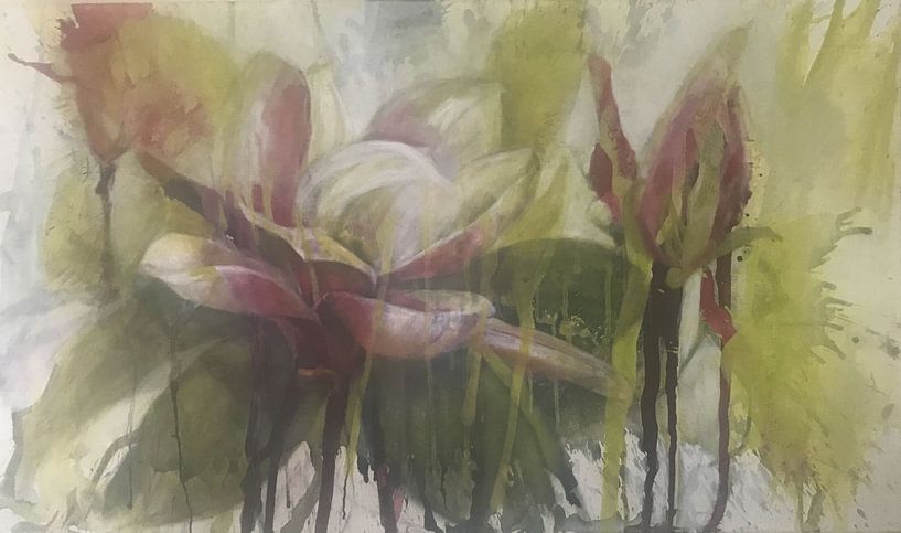 'Magnolia' by Marita Braun