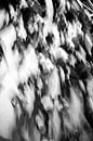 Impression of the audience at the Noorderbrugparade by Streets of Maastricht thumbnail