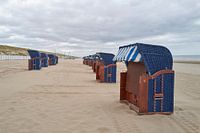 Beach basket