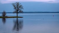 Blue hour von Orangefield-images Miniaturansicht