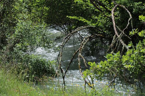 Een kijk in de waterloop