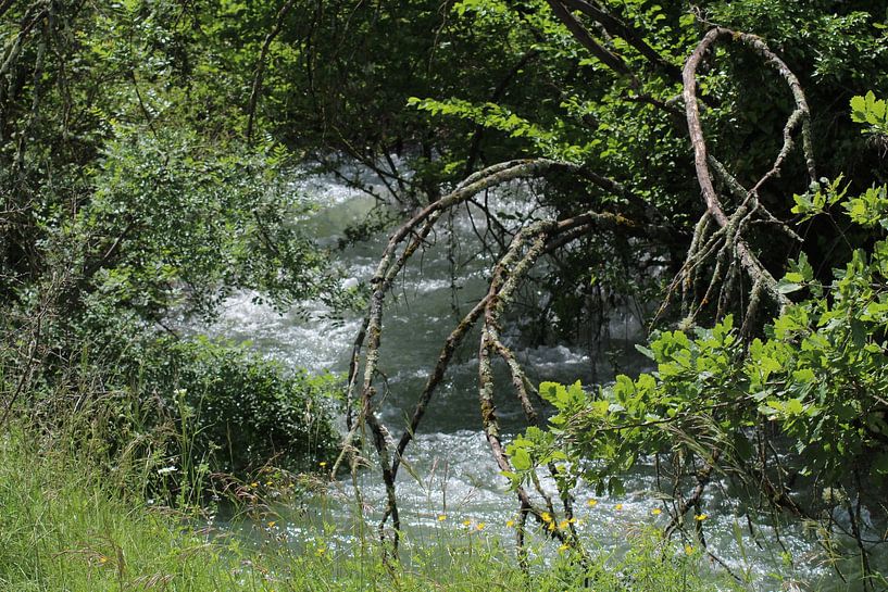 Ein Blick auf den Wasserlauf von Patrick van beek76